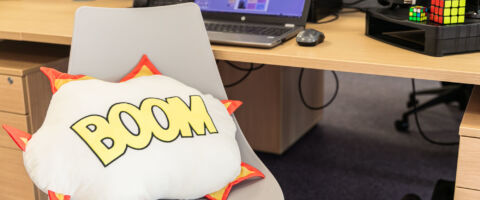 Data HQ boom pillow