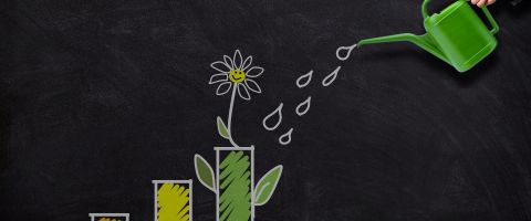 Watering plant