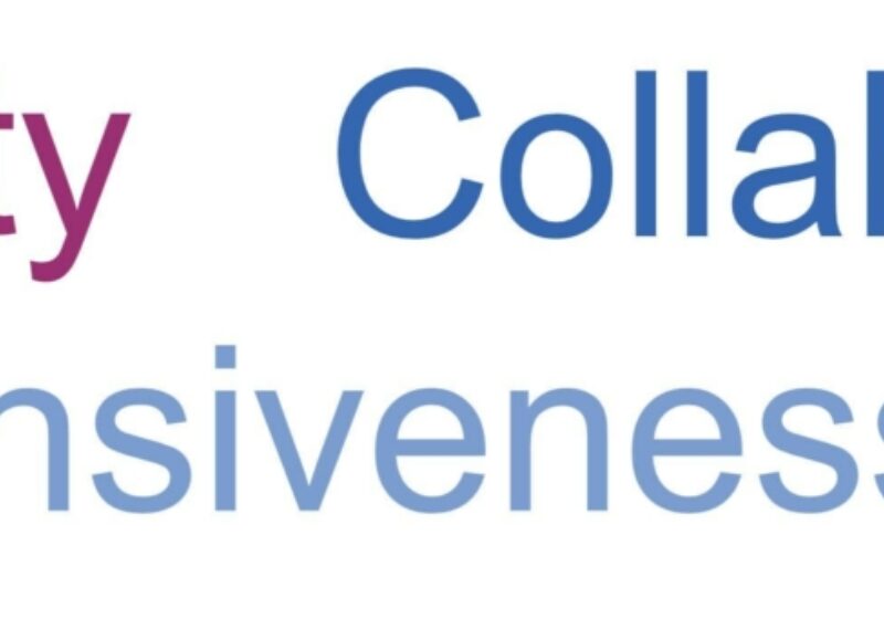 Flexibility, Collaboration, Responsiveness and Insight