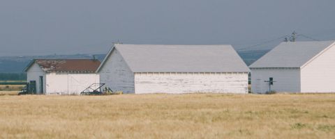 Farm